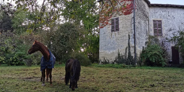 469522678 122277401030004195 815584154174615741 N