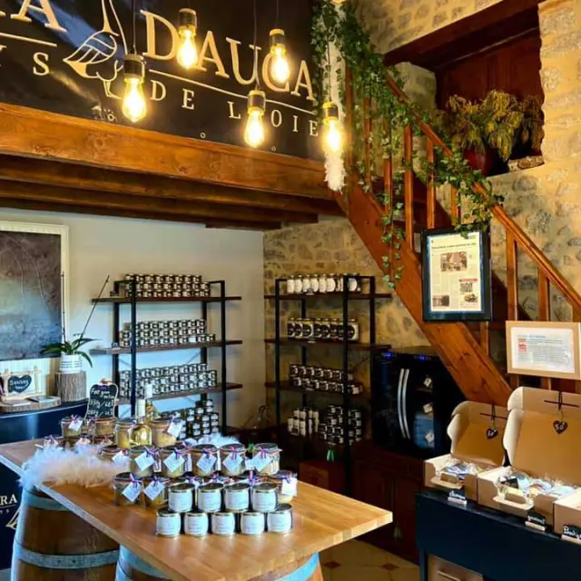 Terra d'Auca à Saint-Saud Lacoussière - produits à base d'oies du Périgord