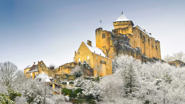 Château de Castelnaud