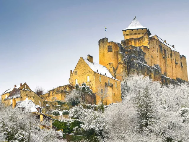 Château de Castelnaud