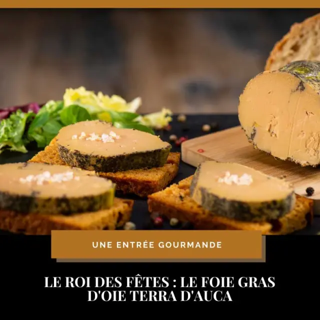 Terra d'Auca à Saint-Saud Lacoussière - produits à base d'oies du Périgord