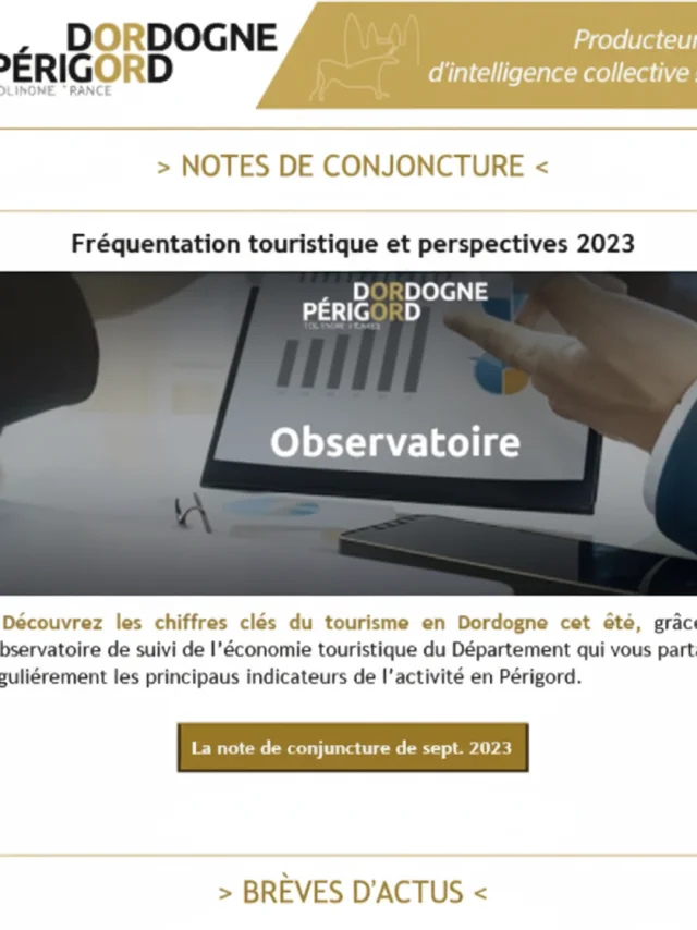 Newsletter Pro Aperçu