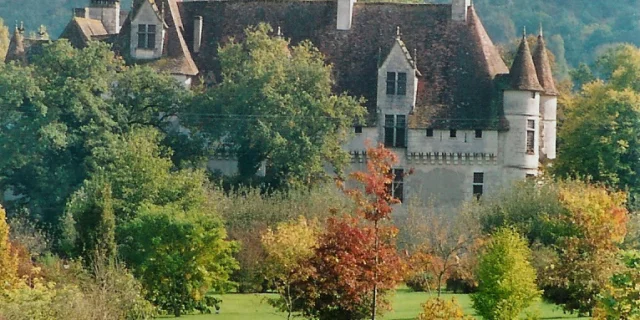 Chateau Neuvic