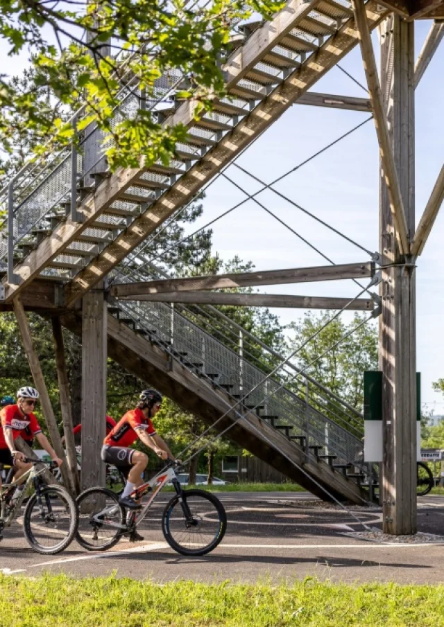 Cyclisites Tour Moncalou