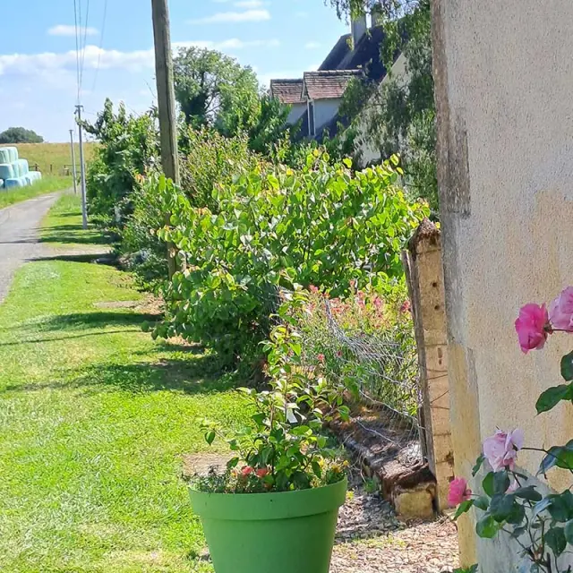Ferme des Graves à Saint-Sulpice d'Excideuil - Produits locaux autour du canard gras