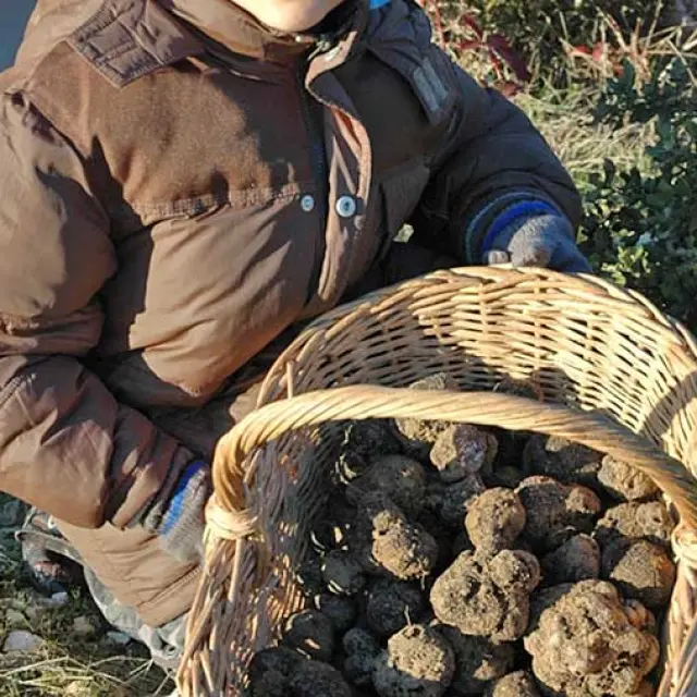 Ferme aux truffes à Sainte-Croix de Mareuil