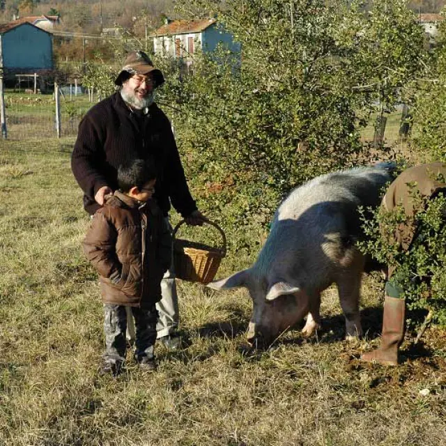 Ferme aux truffes à Sainte-Croix de Mareuil