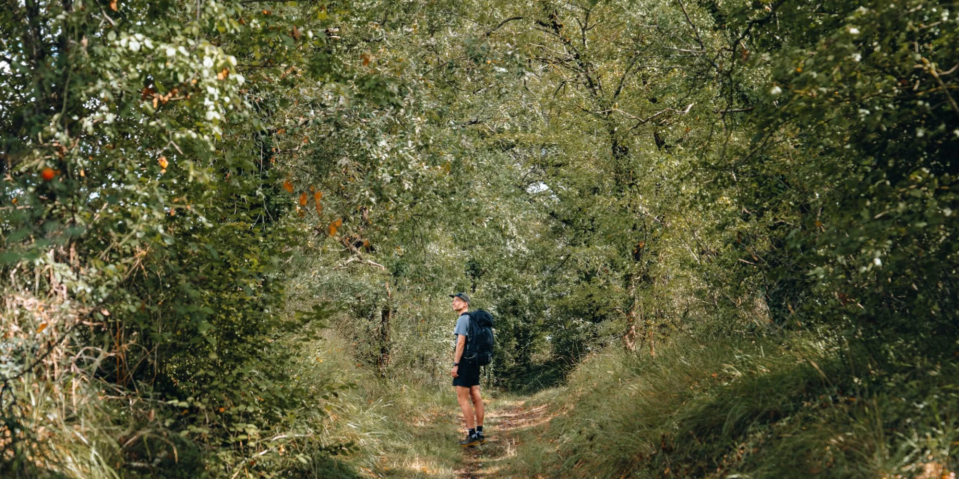 Passage En Foret C Michmich