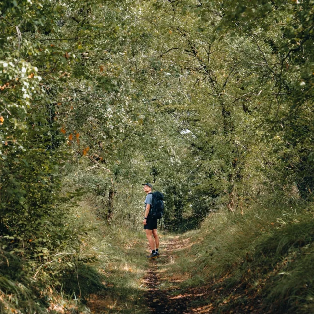 Passage En Foret C Michmich