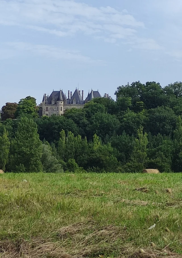 Paysage Et Chateau Montaigne