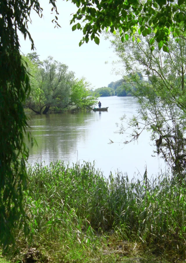 Pecheur Sur La Dordogne