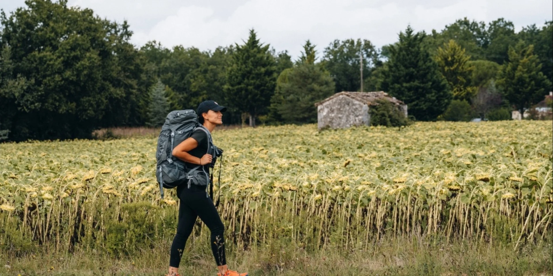 Rando Dans Les Champs