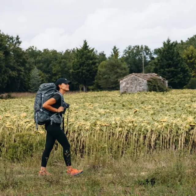Rando Dans Les Champs