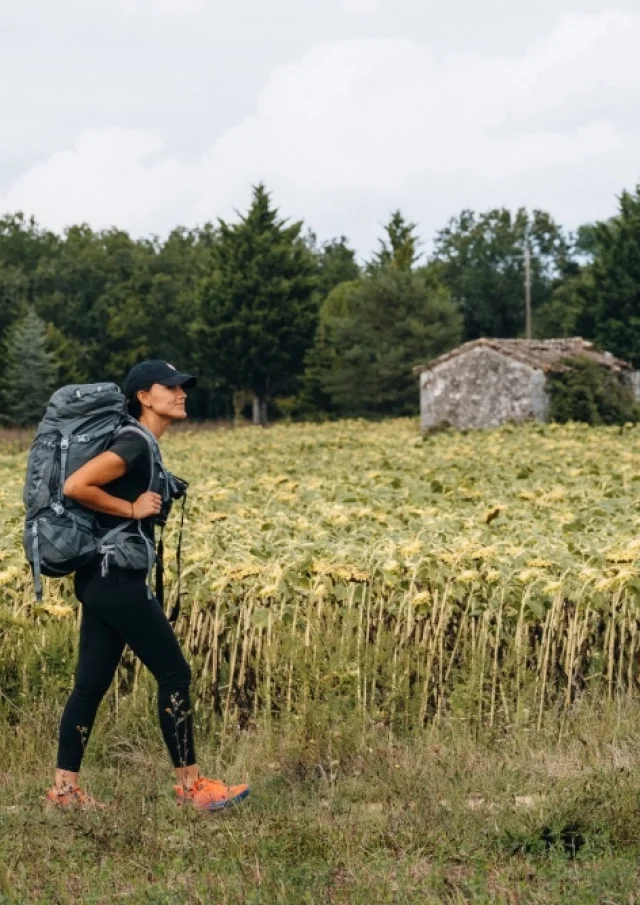 Rando Dans Les Champs