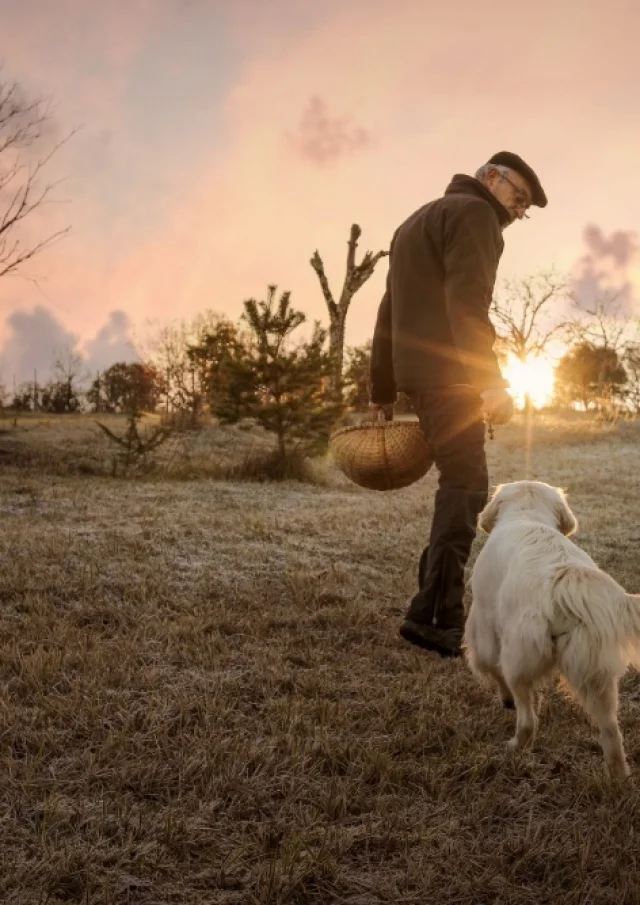 Recherche De Truffes