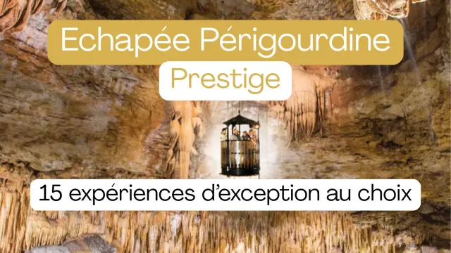 Copie De Ajouter Un Titre 4