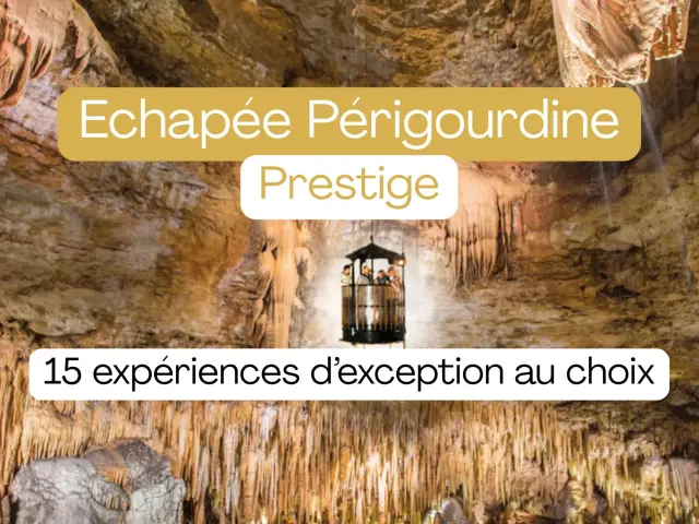 Copie De Ajouter Un Titre 4