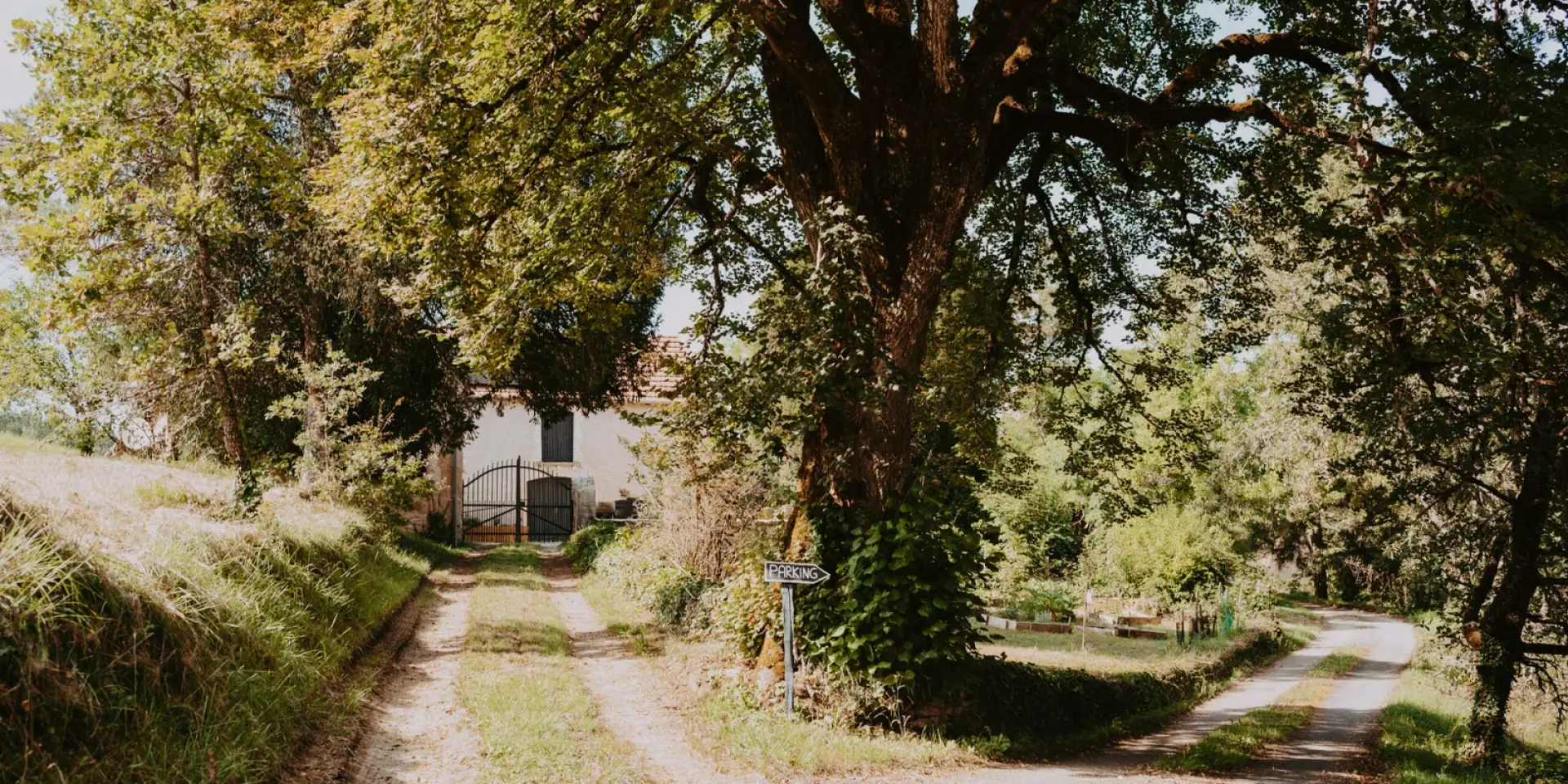 Distillerie de l'ort