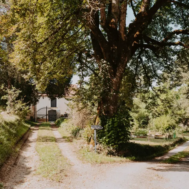 Distillerie de l'ort