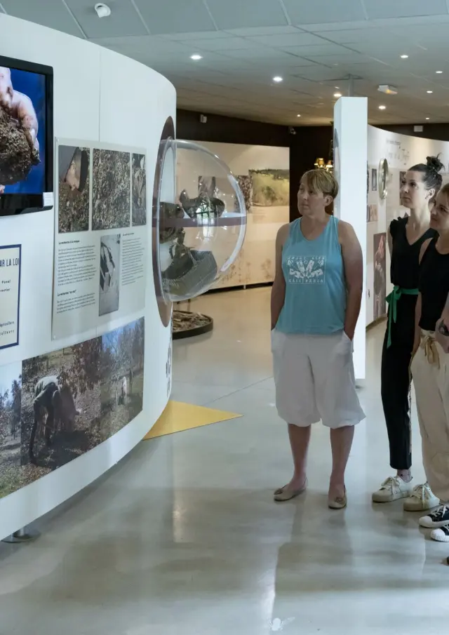 Ecomusee De La Truffe