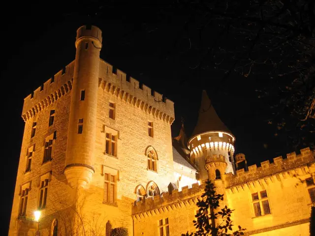 Château de Puymartin