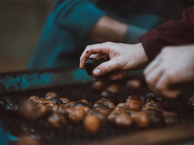 Les Noyeraies Du Landers