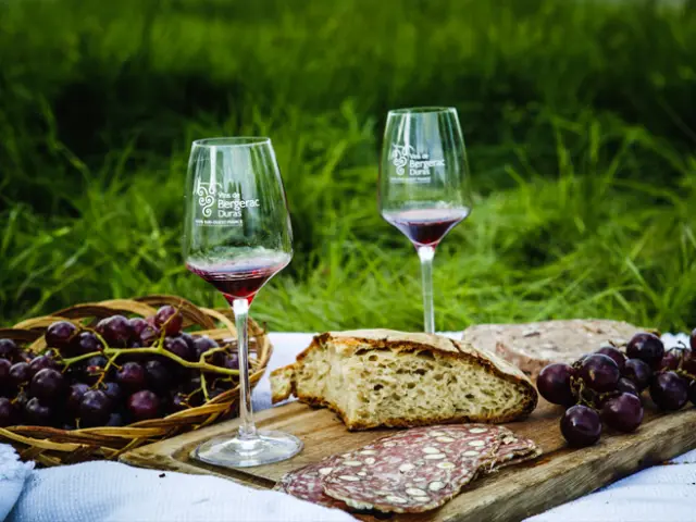 IVBD - vins du sud-ouest