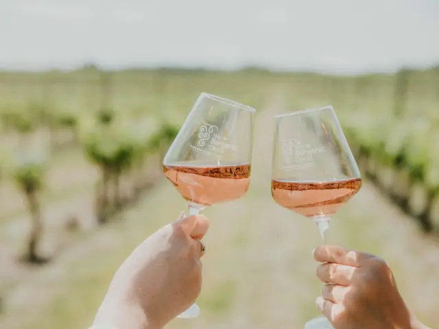 IVBD - vins du sud-ouest