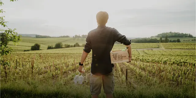 IVBD - vins du sud-ouest