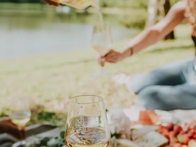 IVBD - vins du sud-ouest