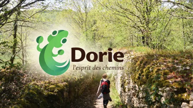 image illustration Dorie