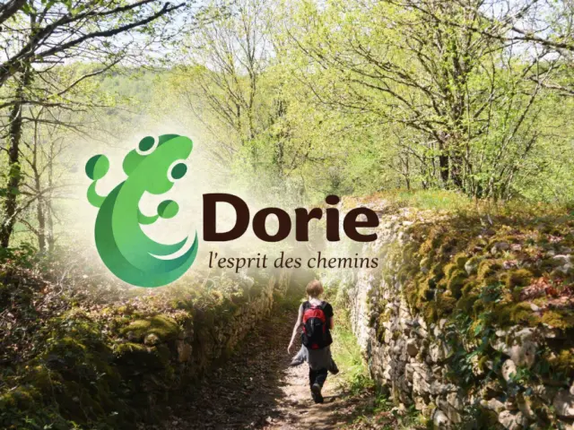 image illustration Dorie