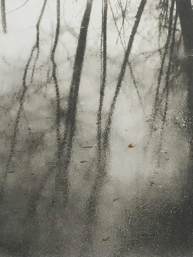 Oeuvre de Farhad Ostavani, artiste peintre