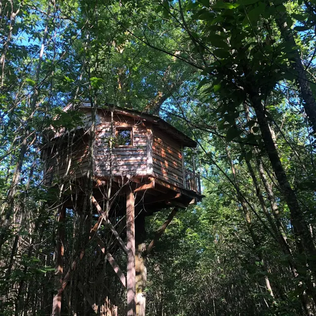 Ô Bois Dormant à Lempzours