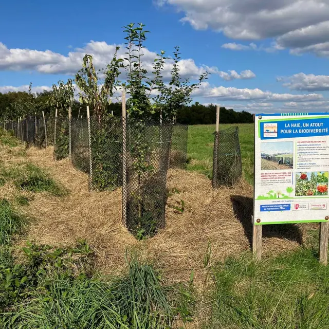 Maison de maître du Biarnais à Montpon-Ménestérol
