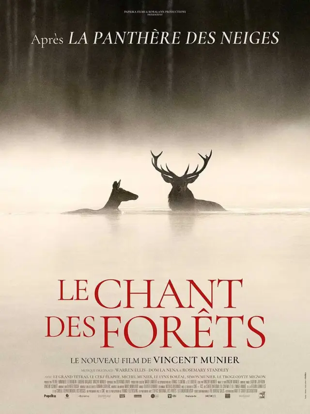 Le Chant des Forêts de Vincent Munier