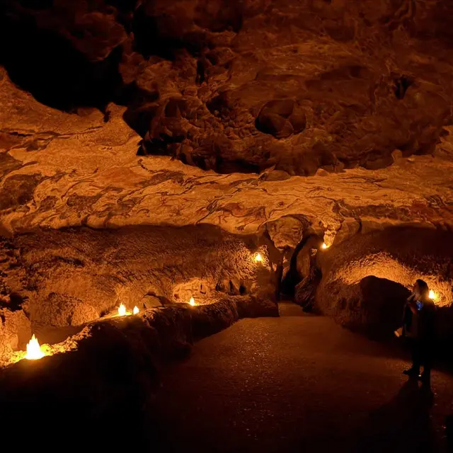 Visite guidée Aux Origines - Lascaux 2 à Montignac