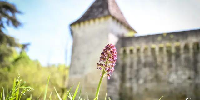 2026 Trelissac Chateau De Caussade 3 Sur 4