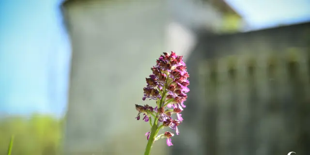 2026 Trelissac Chateau De Caussade 4 Sur 4