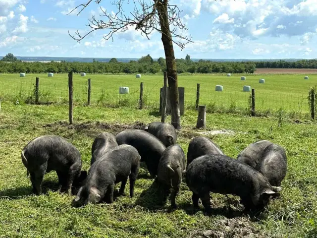 Ferme du Roussel à Rampieux