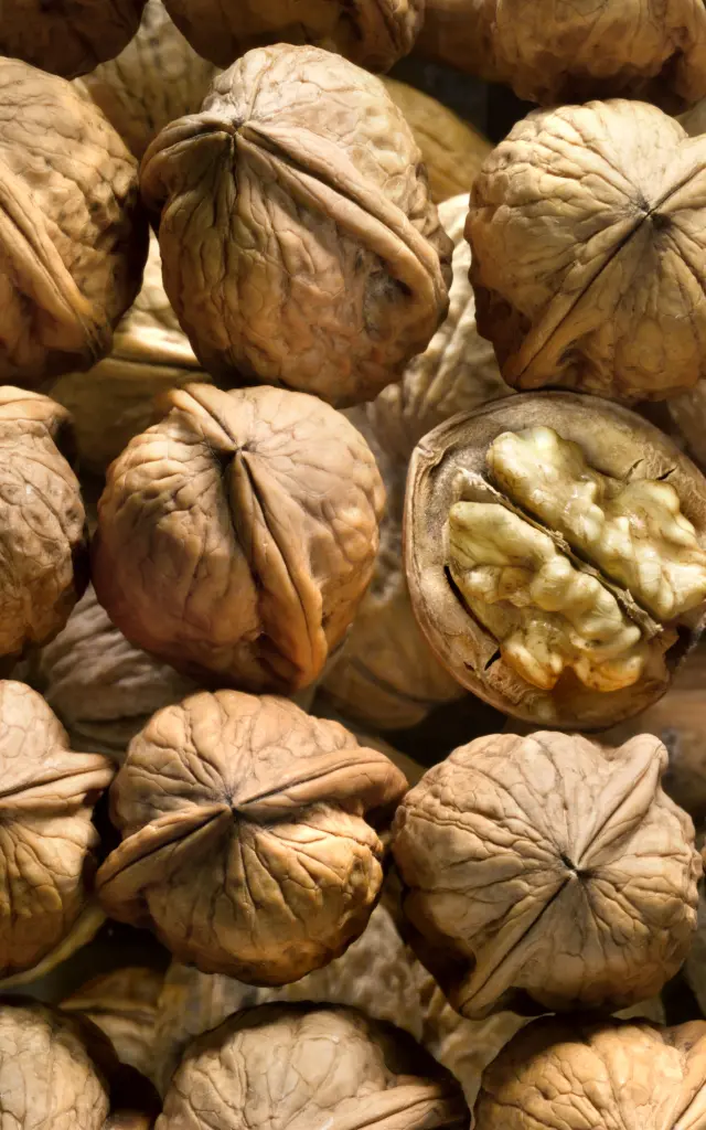 Aop Noix Périgord Noix En Rangées 2