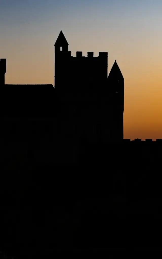 435 Chateau De Beynac Dans L Ombre Declicdecolle