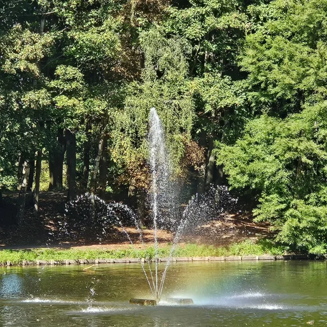 Instagram #douai