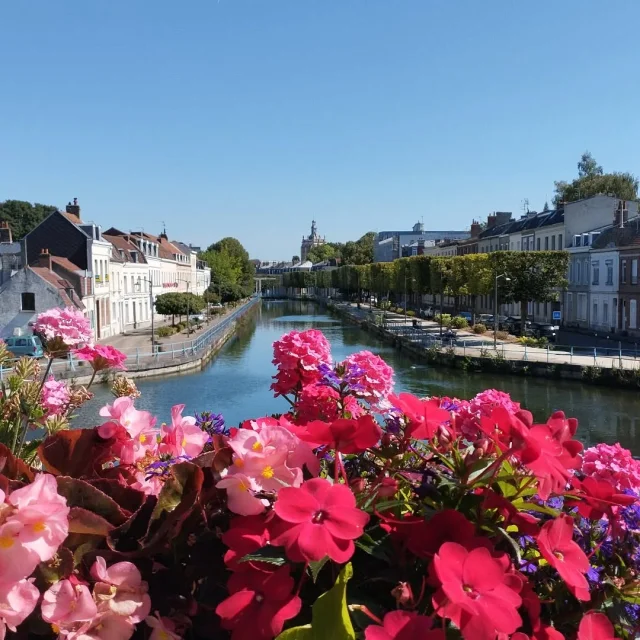 Instagram #douai