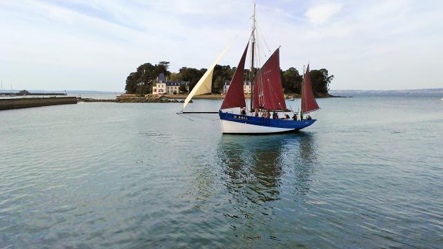 Asso Un Langoustier Pour Douarnenez 2017 Le Skellig Au Guet (1)