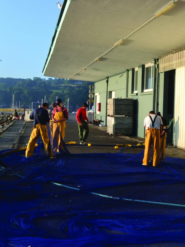 Pêcheurs démelant leurs filets