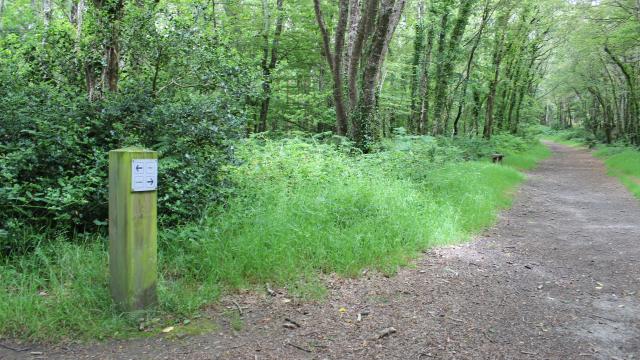 Otdz Bois Du Névet 10 06 2014 (23)