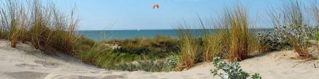 Dunes de Flandre