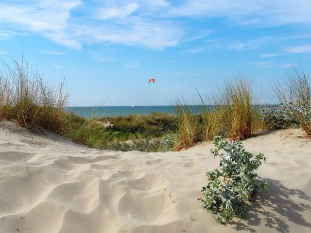 Dunes de Flandre