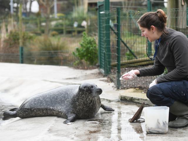 Zoo 1